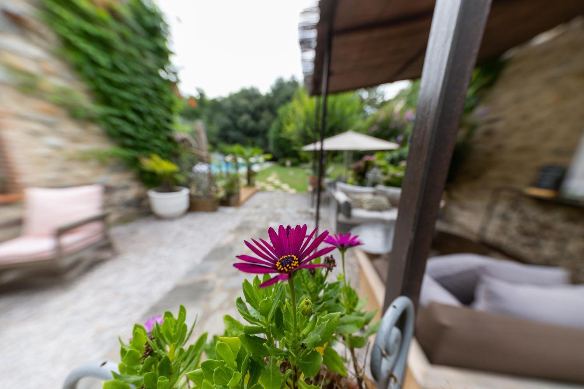 Hotel Le Mas Trilles Céret Dış mekan fotoğraf