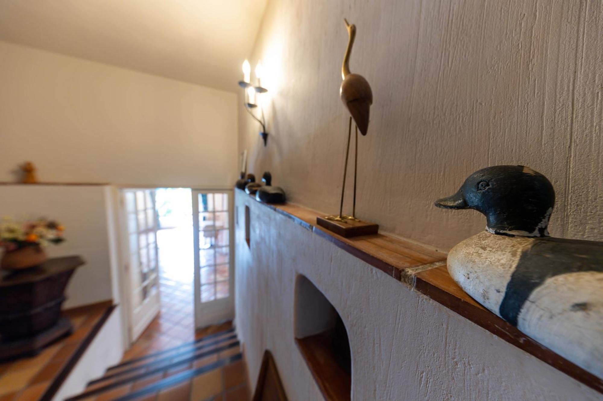 Hotel Le Mas Trilles Céret Dış mekan fotoğraf