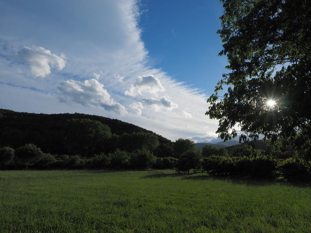 Hotel Le Mas Trilles Céret Dış mekan fotoğraf