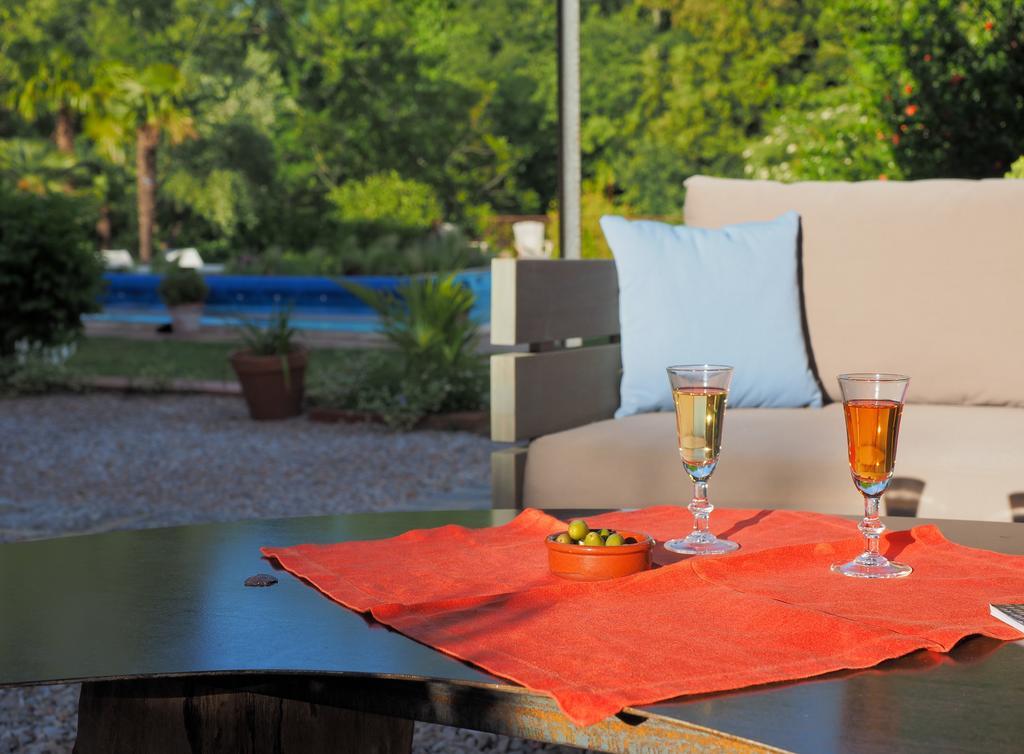 Hotel Le Mas Trilles Céret Dış mekan fotoğraf